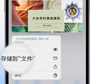 屏山apple维修中心分享iPhone文件应用中存储和找到下载文件