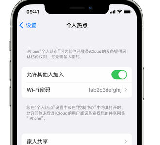 屏山apple服务站点分享iPhone上个人热点丢失了怎么办 