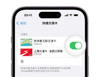 屏山apple维修点分享iPhone上更换Apple Pay快捷交通卡手绘卡面 