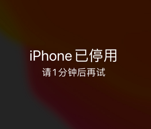 屏山苹果手机维修分享:iPhone 显示“不可用”或“已停用”怎么办？还能保留数据吗？ 