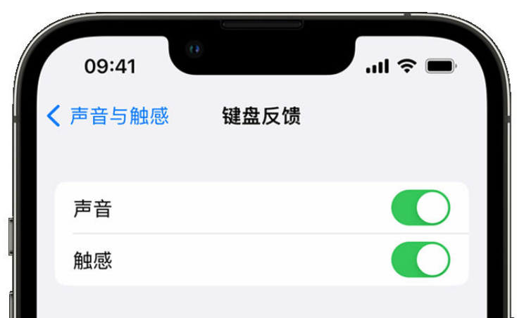 屏山苹果手机维修分享iPhone 14触感键盘使用方法 