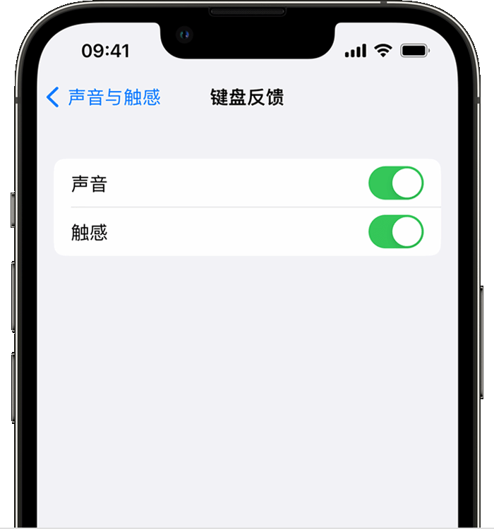 屏山苹果14维修店分享如何在 iPhone 14 机型中使用触感键盘 