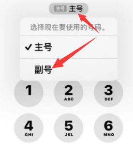 屏山苹果14维修店分享iPhone 14 Pro Max使用副卡打电话的方法 