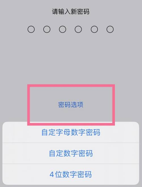 屏山苹果14维修分享iPhone 14plus设置密码的方法 