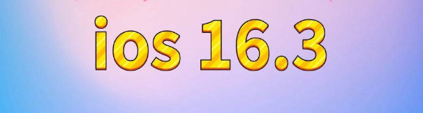 屏山苹果服务网点分享苹果iOS16.3升级反馈汇总 