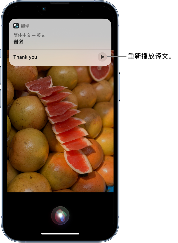 屏山苹果14维修分享 iPhone 14 机型中使用 Siri：了解 Siri 能帮你做什么 