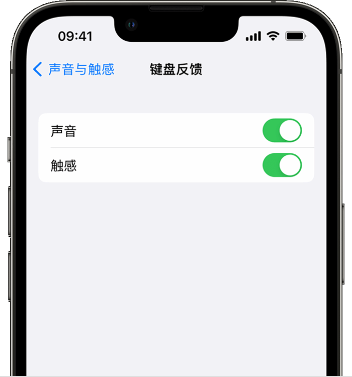 屏山苹果14维修分享iPhone 14 系列机型如何开启键盘声音或触感反馈 