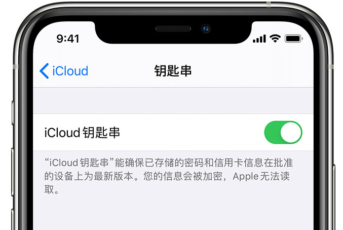 屏山苹果手机维修分享在 iPhone 上开启 iCloud 钥匙串之后会储存哪些信息 