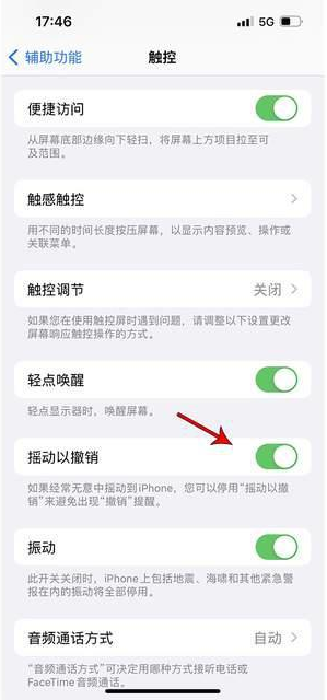 屏山苹果手机维修分享iPhone手机如何设置摇一摇删除文字 