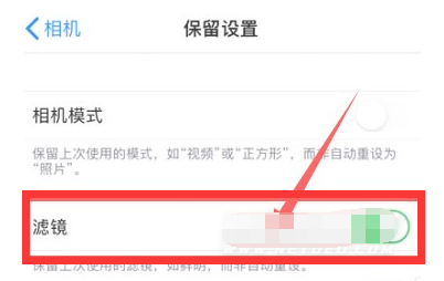 屏山苹果13维修分享iPhone13拍照有绿点是怎么回事 