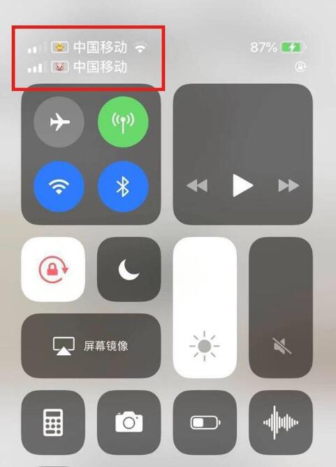 屏山苹果手机维修分享为 iPhone 12 双卡设置标签 